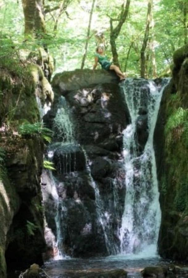 לינה וארוחת בוקר Corrèze Le Parc Des 4 Saisons מראה חיצוני תמונה
