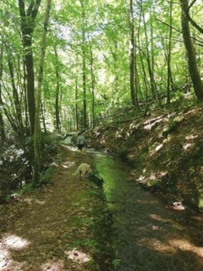 לינה וארוחת בוקר Corrèze Le Parc Des 4 Saisons מראה חיצוני תמונה