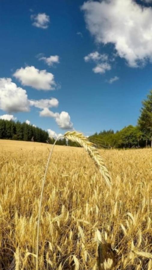לינה וארוחת בוקר Corrèze Le Parc Des 4 Saisons מראה חיצוני תמונה