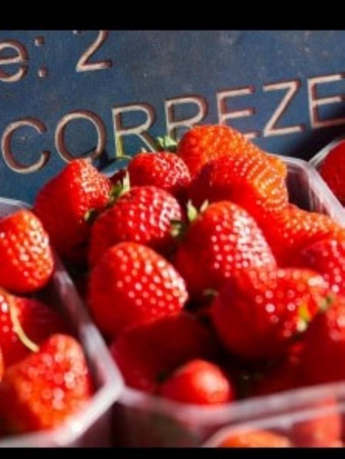 לינה וארוחת בוקר Corrèze Le Parc Des 4 Saisons מראה חיצוני תמונה