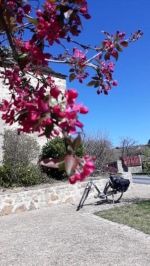 לינה וארוחת בוקר Corrèze Le Parc Des 4 Saisons מראה חיצוני תמונה