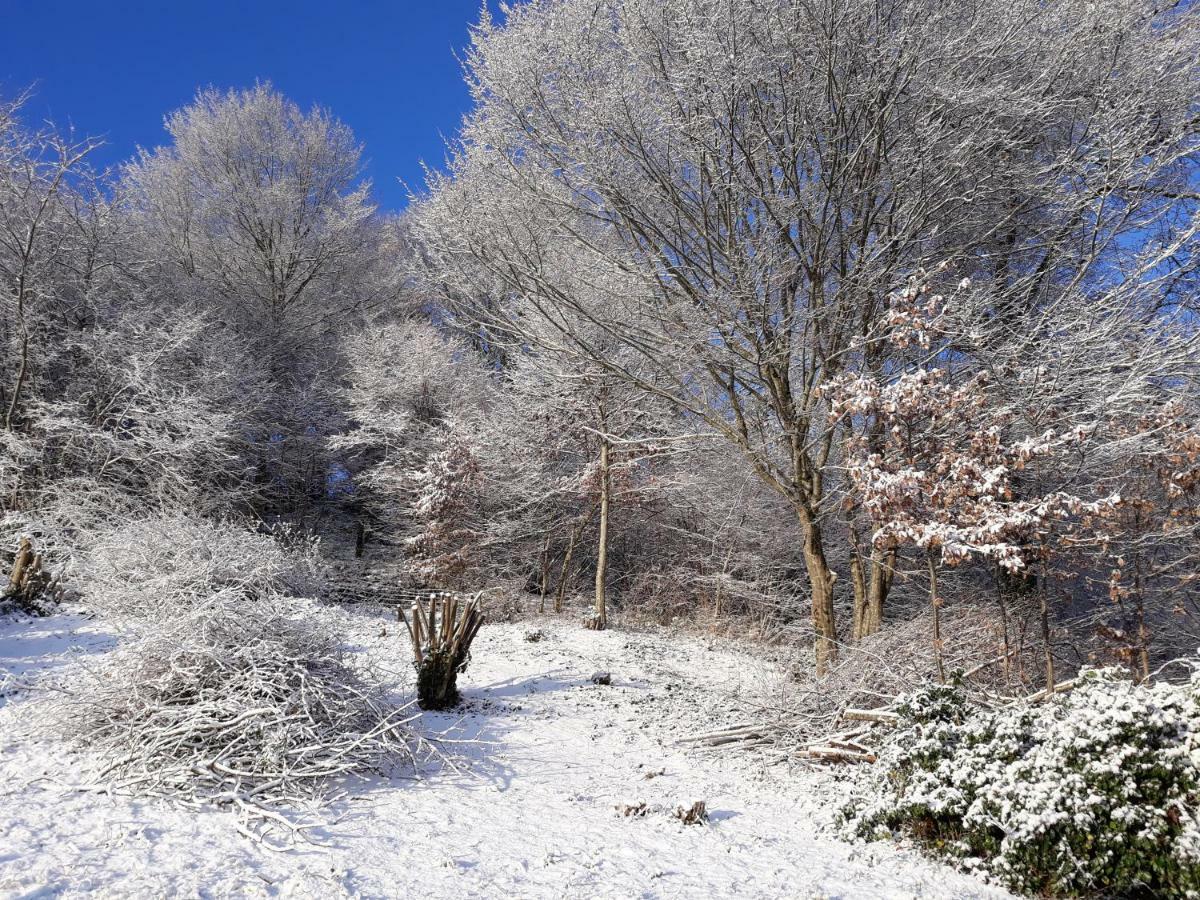לינה וארוחת בוקר Corrèze Le Parc Des 4 Saisons מראה חיצוני תמונה