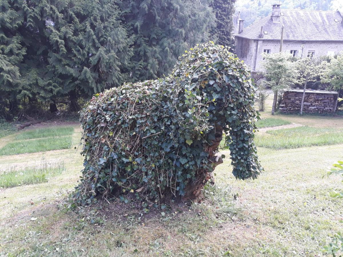 לינה וארוחת בוקר Corrèze Le Parc Des 4 Saisons מראה חיצוני תמונה